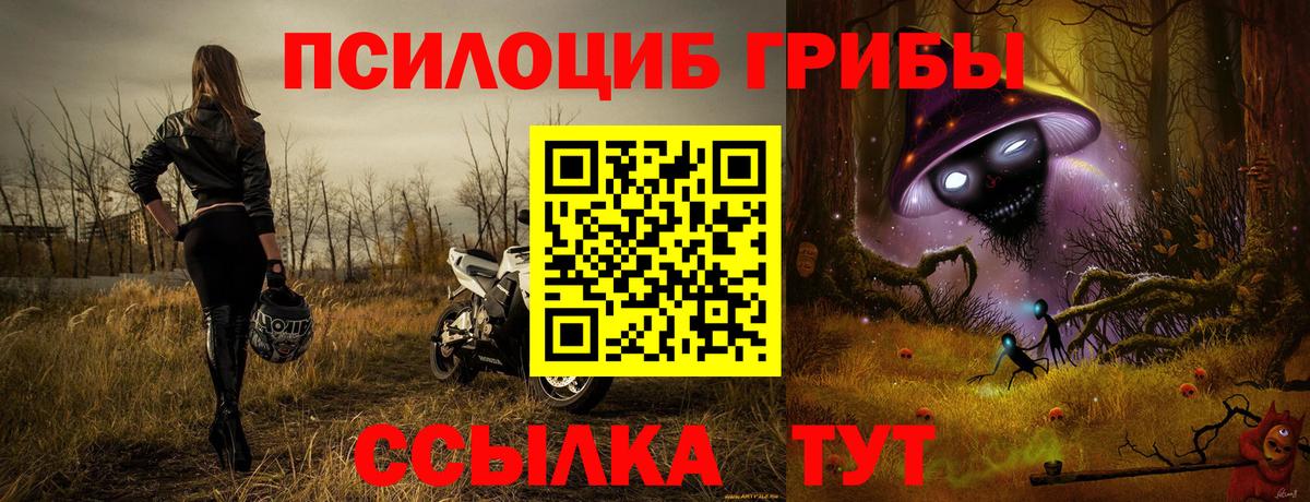 Галлюциногенные грибы GOLDEN TEACHER Усть-Лабинск
